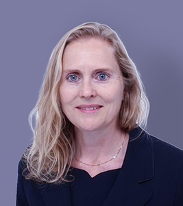  criminal barrister Lee Karu KC